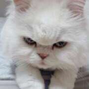 ヒメ日記 2025/06/23 22:59 投稿 えま WHITE（金沢）