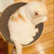 ヒメ日記 2025/08/23 21:55 投稿 えま WHITE（金沢）