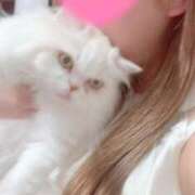 ヒメ日記 2025/09/29 19:24 投稿 えま WHITE（金沢）