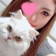 ヒメ日記 2025/10/02 21:53 投稿 えま WHITE（金沢）