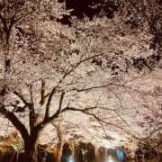 ヒメ日記 2026/04/08 21:14 投稿 えま CLUB ROOKIE（ルーキー）