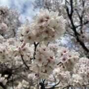 えま しゅ CLUB ROOKIE（ルーキー）