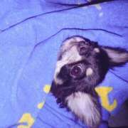 ヒメ日記 2025/08/15 22:53 投稿 あいり WHITE（金沢）