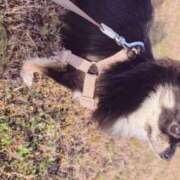 ヒメ日記 2025/09/15 21:34 投稿 あいり WHITE（金沢）