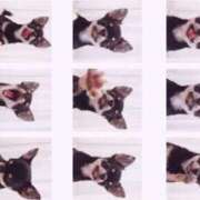 ヒメ日記 2025/10/14 21:09 投稿 あいり WHITE（金沢）