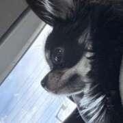 ヒメ日記 2025/12/13 21:20 投稿 あいり WHITE（金沢）