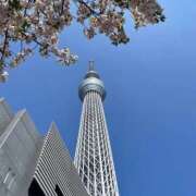 ヒメ日記 2026/04/16 20:13 投稿 せい ハピネス札幌