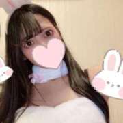 ヒメ日記 2025/01/22 12:12 投稿 あむ【黒髪ハーフのぺろぺろ】 STELLA TOKYO－ステラトウキョウ－