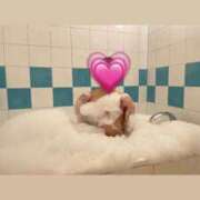 ヒメ日記 2025/01/17 12:45 投稿 りりあ 素敵な女の子は好きですか？