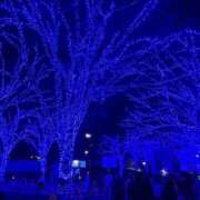 ヒメ日記 2025/01/25 20:23 投稿 れみ【女子大生はエッチ】 STELLA TOKYO－ステラトウキョウ－