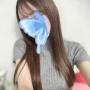 ヒメ日記 2025/07/27 22:40 投稿 れみ【女子大生はエッチ】 STELLA TOKYO－ステラトウキョウ－