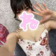 ヒメ日記 2025/05/15 15:58 投稿 ねる クラブ バレンタイン大阪