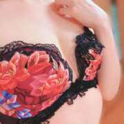 ヒメ日記 2025/07/31 00:14 投稿 まこ 姫SPA