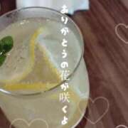 ヒメ日記 2025/06/18 12:52 投稿 朴(パク）選手 お願いマラどーな