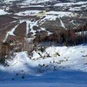 ヒメ日記 2025/01/17 07:52 投稿 ロベルト選手 お願いマラどーな