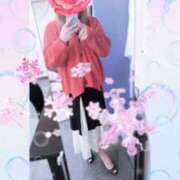 ヒメ日記 2025/01/24 12:03 投稿 ロベルト選手 お願いマラどーな