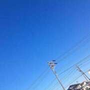 ヒメ日記 2025/02/19 10:03 投稿 ロベルト選手 お願いマラどーな