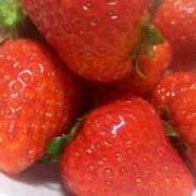 ヒメ日記 2025/02/20 07:22 投稿 ロベルト選手 お願いマラどーな