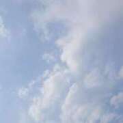 ヒメ日記 2025/06/06 07:12 投稿 ロベルト選手 お願いマラどーな