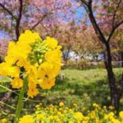 ヒメ日記 2025/06/20 06:52 投稿 ロベルト選手 お願いマラどーな