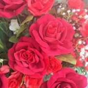 ヒメ日記 2025/06/30 06:22 投稿 ロベルト選手 お願いマラどーな