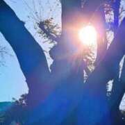 ヒメ日記 2026/01/08 06:42 投稿 ロベルト選手 お願いマラどーな