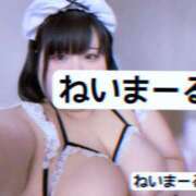 ヒメ日記 2025/04/23 11:52 投稿 ネイマール選手 お願いマラどーな