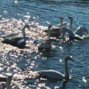 ヒメ日記 2025/01/23 11:22 投稿 武田選手 お願いマラどーな