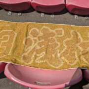 ヒメ日記 2025/05/04 11:52 投稿 丸山カリ奈選手 お願いマラどーな