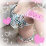 ヒメ日記 2025/01/31 01:32 投稿 三苫選手 お願いマラどーな