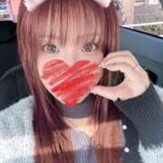 ヒメ日記 2026/04/01 08:52 投稿 三苫選手 お願いマラどーな