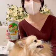 ヒメ日記 2025/02/04 23:03 投稿 Saika　Houzuki ELEGANT－エレガント－