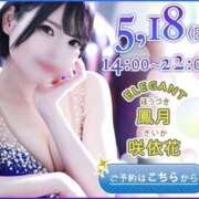 ヒメ日記 2025/05/17 23:00 投稿 Saika　Houzuki ELEGANT－エレガント－