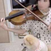 ヒメ日記 2025/06/11 10:36 投稿 Saika　Houzuki ELEGANT－エレガント－