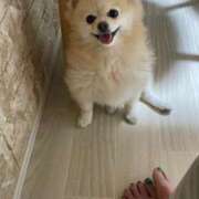 ヒメ日記 2025/07/26 06:14 投稿 Saika　Houzuki ELEGANT－エレガント－