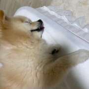 ヒメ日記 2025/07/31 07:31 投稿 Saika　Houzuki ELEGANT－エレガント－