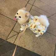 ヒメ日記 2025/08/01 06:01 投稿 Saika　Houzuki ELEGANT－エレガント－