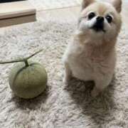 ヒメ日記 2025/08/15 07:30 投稿 Saika　Houzuki ELEGANT－エレガント－