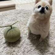 ヒメ日記 2025/08/15 13:23 投稿 Saika　Houzuki ELEGANT－エレガント－