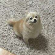 ヒメ日記 2025/08/27 12:31 投稿 Saika　Houzuki ELEGANT－エレガント－