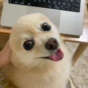 ヒメ日記 2025/10/02 12:16 投稿 Saika　Houzuki ELEGANT－エレガント－