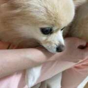 ヒメ日記 2025/11/01 12:15 投稿 Saika　Houzuki ELEGANT－エレガント－