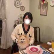 Saika Houzuki 愛する存在🐶💗 ELEGANT-エレガント-