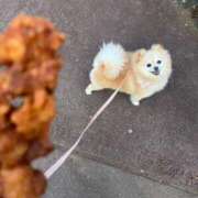 Saika Houzuki お互いを思いやる気持ち💜 ELEGANT-エレガント-