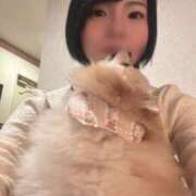 ヒメ日記 2025/12/14 21:41 投稿 Saika　Houzuki ELEGANT－エレガント－