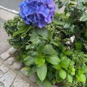 ヒメ日記 2026/06/23 22:13 投稿 Saika　Houzuki ELEGANT－エレガント－