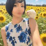 Saika　Houzuki ✨ただいまご案内受付中です✨ ELEGANT－エレガント－