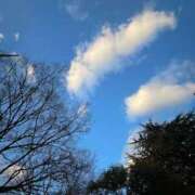 ヒメ日記 2025/01/30 09:21 投稿 あずき 快楽夫人