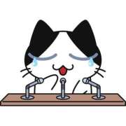 ヒメ日記 2025/03/20 19:45 投稿 じゅん ナイスレディ