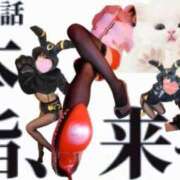 ヒメ日記 2025/04/29 00:26 投稿 じゅん ナイスレディ